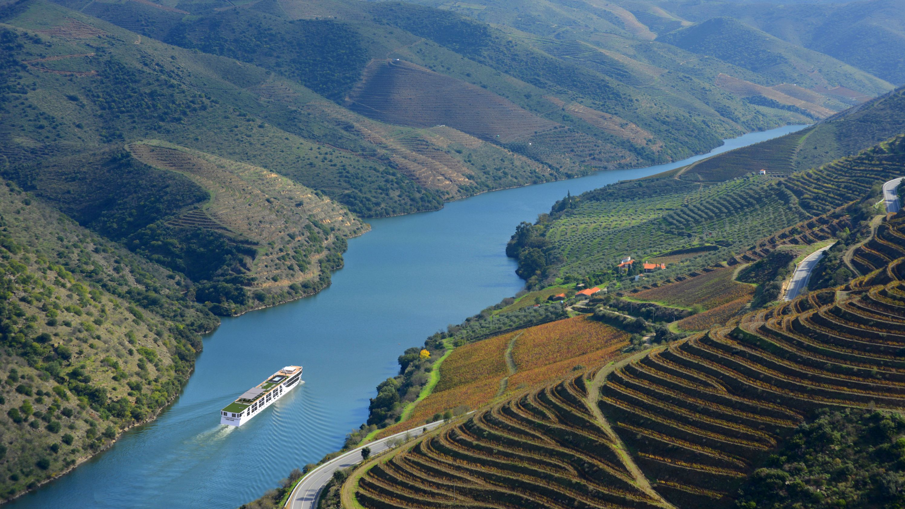 Douro Valley Experience